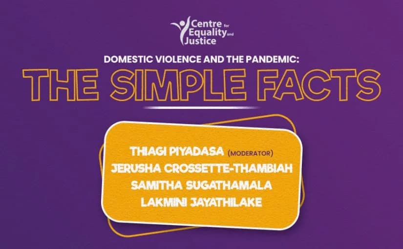 Domestic Violence and the Pandemic: The Simple Facts