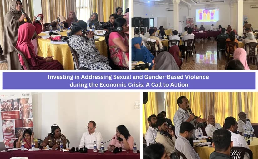Investing in Addressing Sexual and Gender-Based Violence during the Economic Crisis: A Call to Action